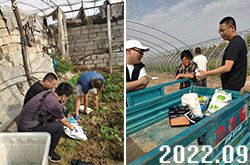 摩爾售后專員實地指導(dǎo)種植戶施肥 摩爾售后專員實地指導(dǎo)種植戶施肥